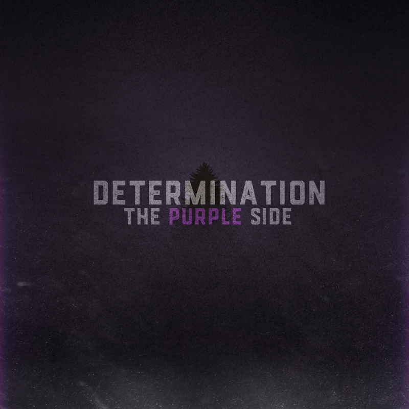 Illustration for article titled Determination: The Purple Side - Album Review